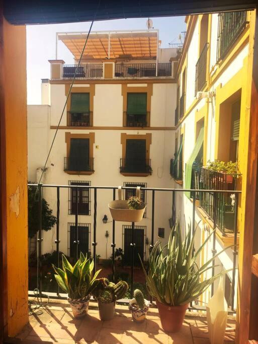 Apartament Plaza Cristo De Burgos Sewilla Zewnętrze zdjęcie